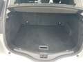 Renault Scenic Scénic dCi 8V 95 CV Energy Business Grau - thumbnail 10