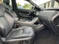 Land Rover Range Rover Evoque Evoque 2.0 TD4 SE Dynamic Start/Stopp SE Dynamic Bleu - thumbnail 19