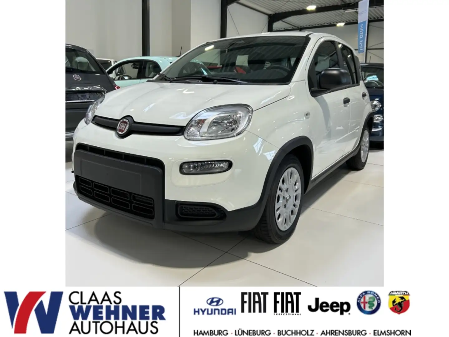 Fiat Panda 1.0 Mild Hybrid EU6e City-Paket Start-Stopp-Automa Weiß - 1