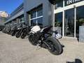 Triumph Street Triple 765 Blanc - thumbnail 6