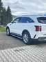 Kia Sorento 2,2 CRDi SCR AWD Platin Vollausstattung  Gt-line Weiß - thumbnail 1