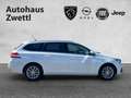 Peugeot 308 SW Allure Pack BHDI 130 EAT8 Weiß - thumbnail 7
