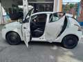 Lancia Ypsilon 1.0 HYBRID 70CV SILVER/GOLD/PLATINO, PROMO A KM 0! - thumbnail 14