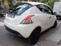 Lancia Ypsilon 1.0 HYBRID 70CV SILVER/GOLD/PLATINO, PROMO A KM 0! - thumbnail 12