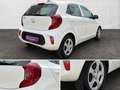Kia Picanto Dream Team 1.0 Gold 49 kW (67 PS), Schalt. 5-Ga... Weiß - thumbnail 27