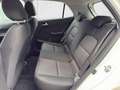 Kia Picanto Dream Team 1.0 Gold 49 kW (67 PS), Schalt. 5-Ga... Weiß - thumbnail 16