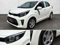 Kia Picanto Dream Team 1.0 Gold 49 kW (67 PS), Schalt. 5-Ga... Weiß - thumbnail 26
