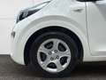 Kia Picanto Dream Team 1.0 Gold 49 kW (67 PS), Schalt. 5-Ga... Weiß - thumbnail 21