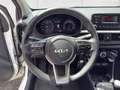 Kia Picanto Dream Team 1.0 Gold 49 kW (67 PS), Schalt. 5-Ga... Weiß - thumbnail 10