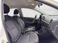 Kia Picanto Dream Team 1.0 Gold 49 kW (67 PS), Schalt. 5-Ga... Weiß - thumbnail 17