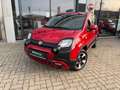 Fiat Panda 1.0 Hybrid Cross (RED) Sondermodell Rojo - thumbnail 2
