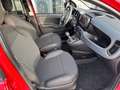 Fiat Panda 1.0 Hybrid Cross (RED) Sondermodell Rojo - thumbnail 10