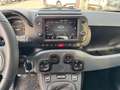 Fiat Panda 1.0 Hybrid Cross (RED) Sondermodell Rojo - thumbnail 12