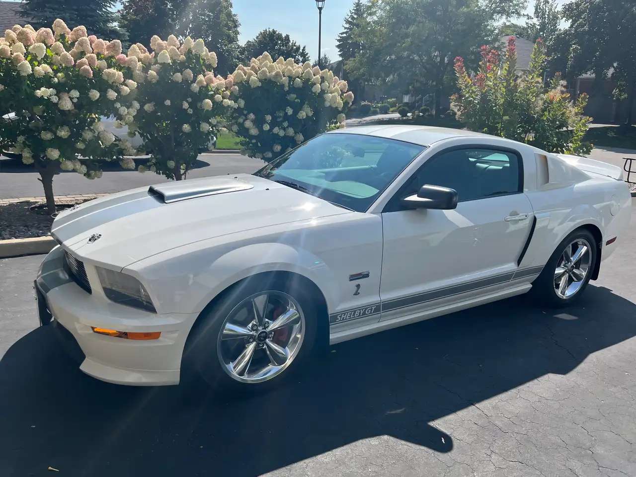 2007 Ford Mustang