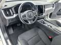Volvo XC60 XC60 B4 (d) FWD 197CV AUT MOMENTUM PRO Bianco - thumbnail 7
