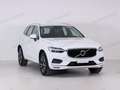 Volvo XC60 XC60 B4 (d) FWD 197CV AUT MOMENTUM PRO Bianco - thumbnail 3