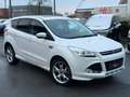 Ford Kuga Kuga 2.0 TDCi 4x4 Aut. Titanium Weiß - thumbnail 2