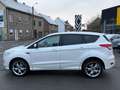 Ford Kuga Kuga 2.0 TDCi 4x4 Aut. Titanium Weiß - thumbnail 5