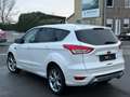 Ford Kuga Kuga 2.0 TDCi 4x4 Aut. Titanium Weiß - thumbnail 3