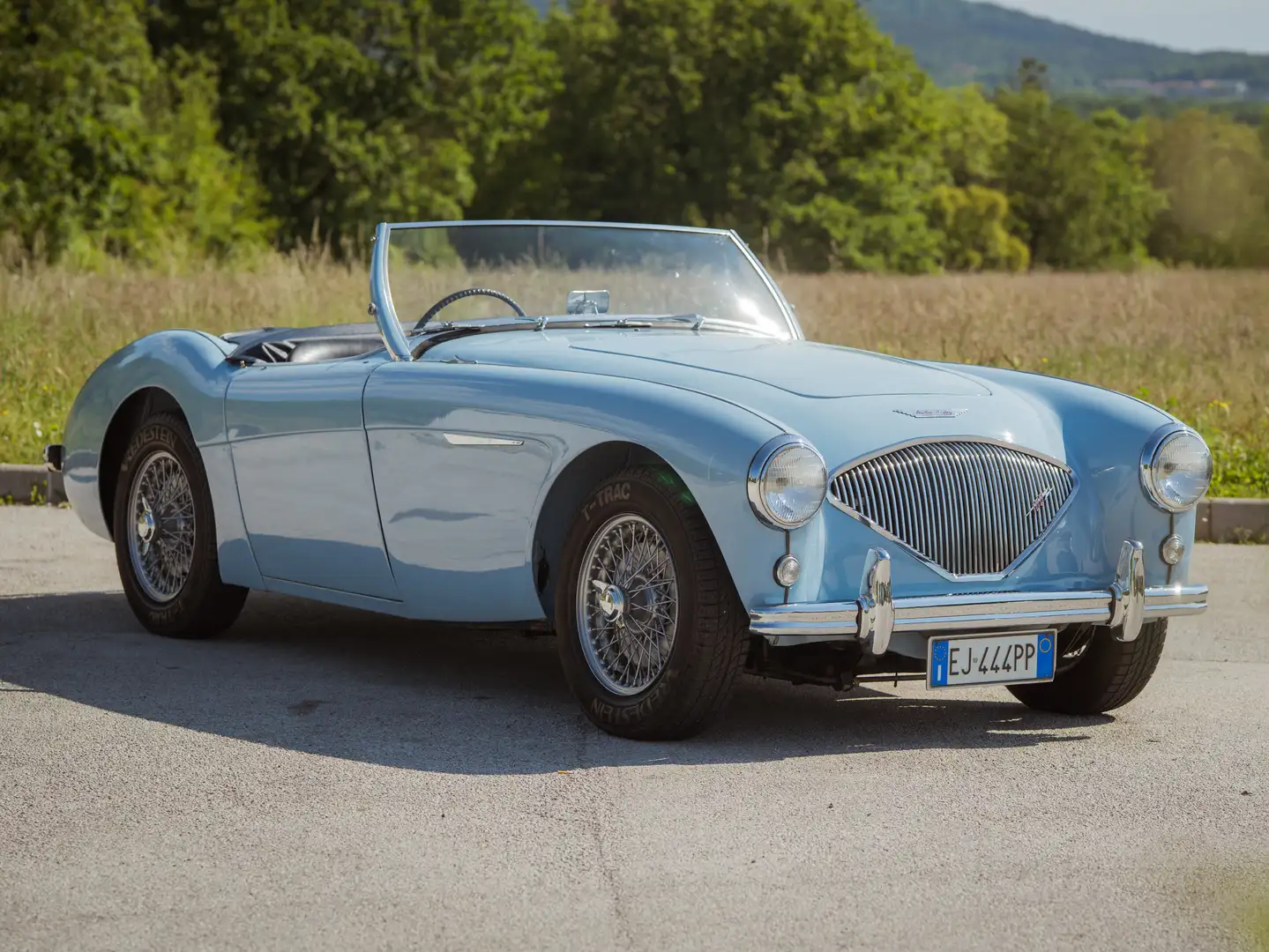 Austin-Healey 100 Azul - 1