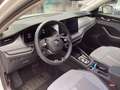 Skoda Octavia Combi 1.5 eTSI DSG Selection LED+AHK+ACC Weiß - thumbnail 8