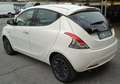 Lancia Ypsilon 1.0 70 cv firefly hybrid Gold 5 Posti Sensori Bianco - thumbnail 3