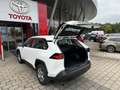 Toyota RAV 4 4 2.5 Hybrid 4x2,NAVI,LED,APPLE CARPLA,KAMERA Weiß - thumbnail 7