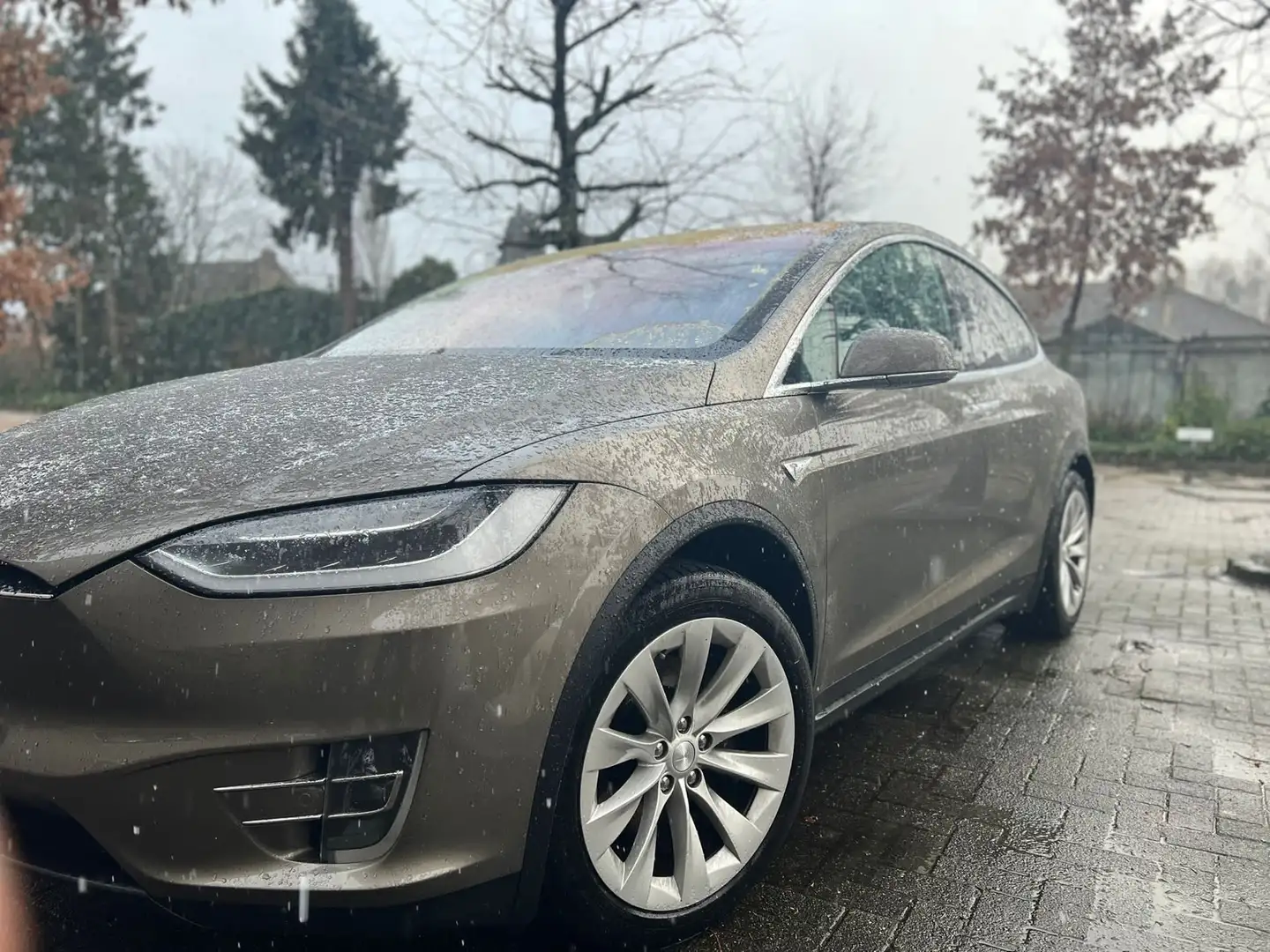 Tesla Model X 90D free supercharging lifetime (SC01) Bruin - 2