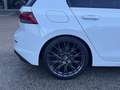 Volkswagen Golf Life 1,0 TSI*R-Heckspoiler*R-Lenkrad*Top Zustan... Weiß - thumbnail 30