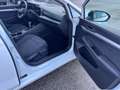 Volkswagen Golf Life 1,0 TSI*R-Heckspoiler*R-Lenkrad*Top Zustan... Weiß - thumbnail 18