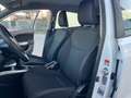 Suzuki Baleno 1.2 Dualjet Top - GPL Bianco - thumbnail 5