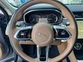 Jaguar F-Pace 2.0d i4 mhev SE awd 204cv aut IVA ESPOSTA Grigio - thumbnail 12