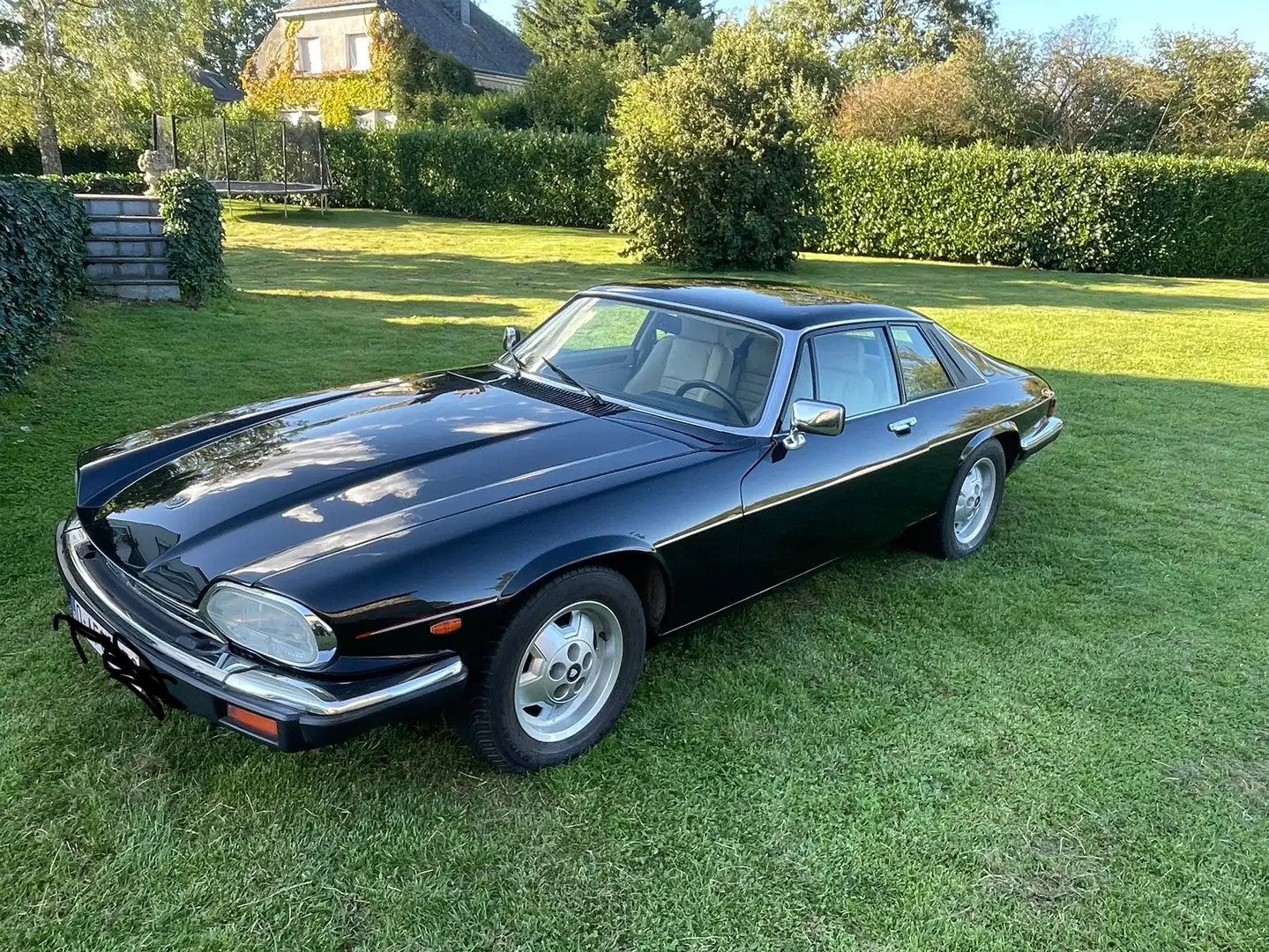 Jaguar XJS 3.6 - 1