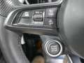 Alfa Romeo Stelvio 2.2 Diesel 154kW 210CV Veloce Q4 Gris - thumbnail 13
