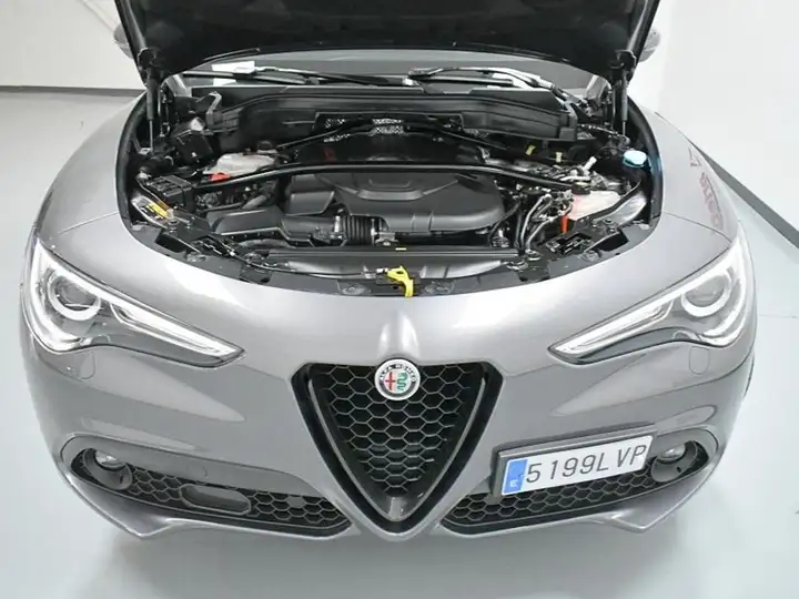 Alfa Romeo Stelvio 2022, foto 42