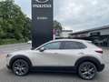 Mazda CX-30 EXCLUSIVE-L. X M-Hybrid 6MT DASO-P DESI-P HUD Navi Brown - thumbnail 3