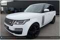 Land Rover Range Rover 4,4 SDV8 Autobiography Aut. Weiß - thumbnail 8