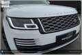 Land Rover Range Rover 4,4 SDV8 Autobiography I Neuer Preis Weiß - thumbnail 28