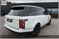 Land Rover Range Rover 4,4 SDV8 Autobiography Aut. Weiß - thumbnail 10