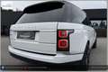 Land Rover Range Rover 4,4 SDV8 Autobiography Aut. Weiß - thumbnail 22