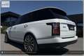 Land Rover Range Rover 4,4 SDV8 Autobiography I Neuer Preis Weiß - thumbnail 9
