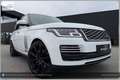 Land Rover Range Rover 4,4 SDV8 Autobiography Aut. Weiß - thumbnail 6