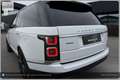 Land Rover Range Rover 4,4 SDV8 Autobiography Aut. Weiß - thumbnail 16