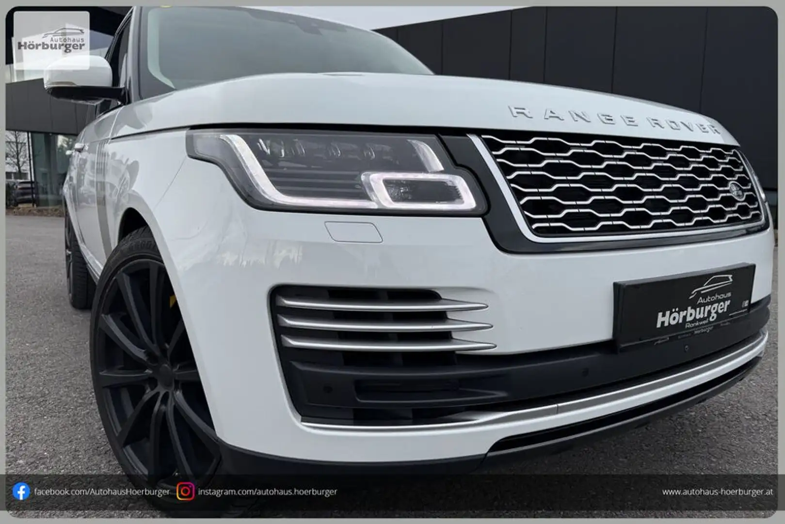 Land Rover Range Rover 4,4 SDV8 Autobiography Aut. Weiß - 1