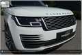 Land Rover Range Rover 4,4 SDV8 Autobiography I Neuer Preis Weiß - thumbnail 11