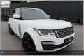 Land Rover Range Rover 4,4 SDV8 Autobiography Aut. Weiß - thumbnail 19