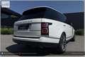 Land Rover Range Rover 4,4 SDV8 Autobiography I Neuer Preis Weiß - thumbnail 30