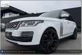 Land Rover Range Rover 4,4 SDV8 Autobiography Aut. Weiß - thumbnail 3