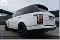 Land Rover Range Rover 4,4 SDV8 Autobiography Aut. Weiß - thumbnail 12