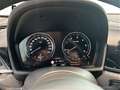 BMW X2 xDrive18d Head-Up DAB LED RFK AHK Klimaaut. Blau - thumbnail 15